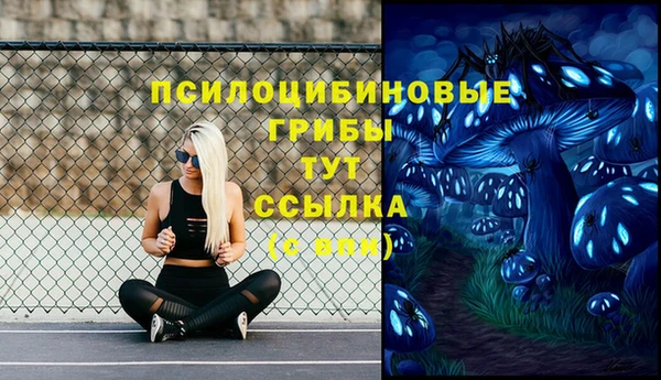 2c-b Аркадак